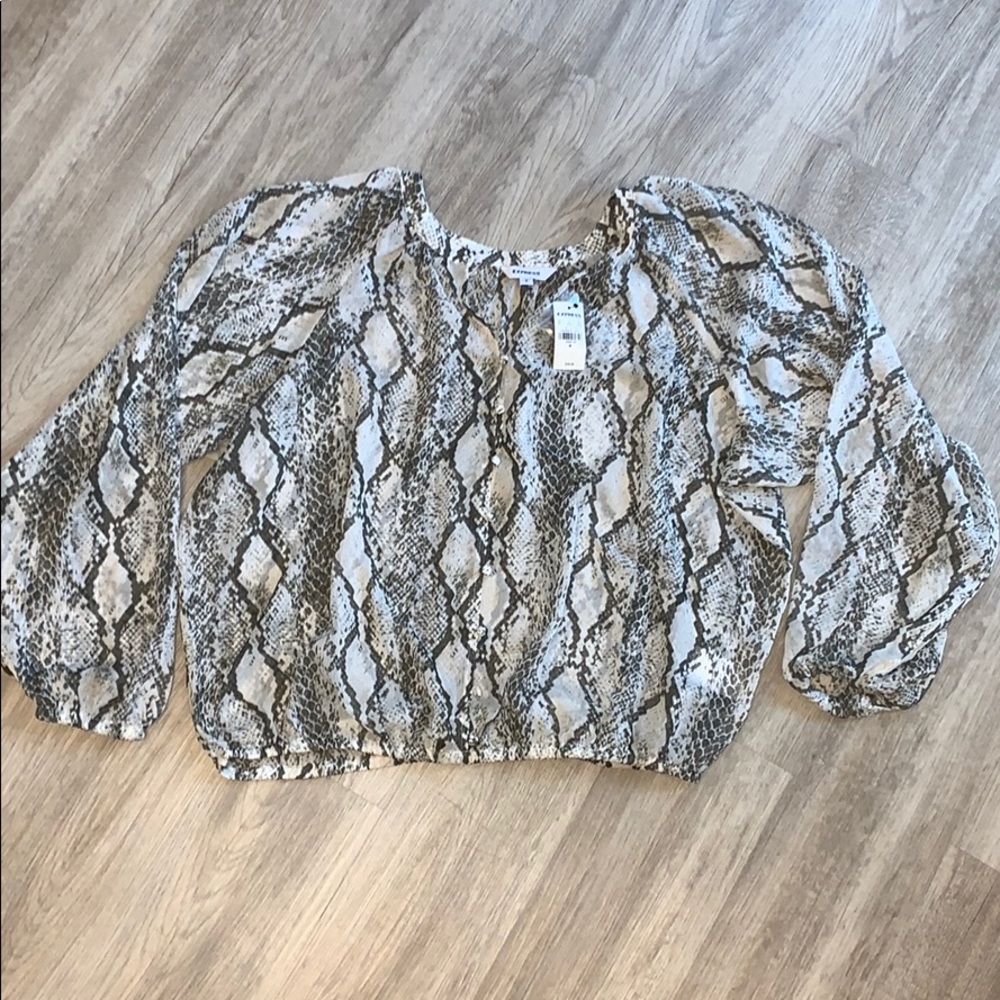 👚Express Sheer shirt👚